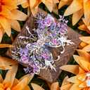 MU 3D Metal Puzzles for Adult Flower and Butterfly B-Nige, Insects Animals Floral Puzzles Metal Model Kits Building,Birthday Gift Brain Teaser DIY Sets Home Decor