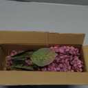 Burgundy Hydrangea Artificial Flowers,Fall Hydrangeas Artificial Flowers, Fake Fall Dried Hydrangea Decoration,Faux Silk Flower with Stems Winter Decor(Red Rose 24" 8pcs) Without Vase