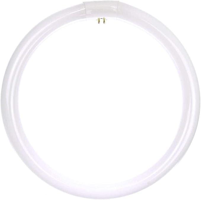 T9 12" 32W 6500K daylight fluorescent tube,  Sunlite FC12T9/DL Fluorescent Circular T9 Light Bulb, 32 Watts, 80 CRI, 4-Pin (G10q) Base, White, 2 Pack