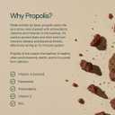 Dr Sosnowski's Hive Hero  Propolis, Royal Jelly & Bee Pollen Supplement  Triple Hive Action for Daily Wellness  60 Vegetable Capsules