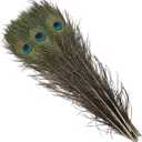 20pcs Long Natural Peacock Feathers 16-18 Inch for Tall Vases Home Decor Centerpieces Decorations Christmas Tree Ornament Crafts