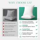 Phantoscope Hypoallergenic Throw Pillows Insert, 100% Virgin Fiber Throw Pillows - Indoor Pillow Inserts Decor Stuffer for Desk Sofa and Couch, Set of 4, 20 x 20