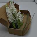 IPOPU 8PCS White Snapdragon Artificial Flowers Delphinium Artificial Silk Flowers Long Stem Hyacinth Fake Flowers for Wedding Home Outdoor Party Floral Arrangement Centerpiece Table Decoration (White)