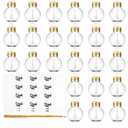 24 Pieces Christmas Booze Balls Christmas Fillable Booze Tree Ornaments Clear Plastic Round Pendant Ball with Stickers for Holiday Wedding Party Decor, Gold