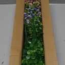 Hananona 12 Pcs Artificial Flowers Outdoor, Faux Artificial Plants UV Resistant Plastic Flower Bulk for Hanging Planter Porch Window Home Wedding Fall Summer Decor (12, Fuchsia, Purple, Yellow, Green)