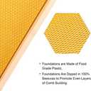 8-Frame Beehive Box Langstroth Medium Super Bee Box for Sale Wax Coated Bee Hives Includes Wooden Frames & Waxed Foundations