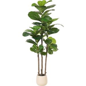 Realead Fiddle Leaf Fig Tree Artificial - 5ft Faux Fiddle Leaf Fig Tree with White Planter - Large Fake Fig Tree with Natural Trunk and Lifelike Leaves for Home Living Room Indoor Decor