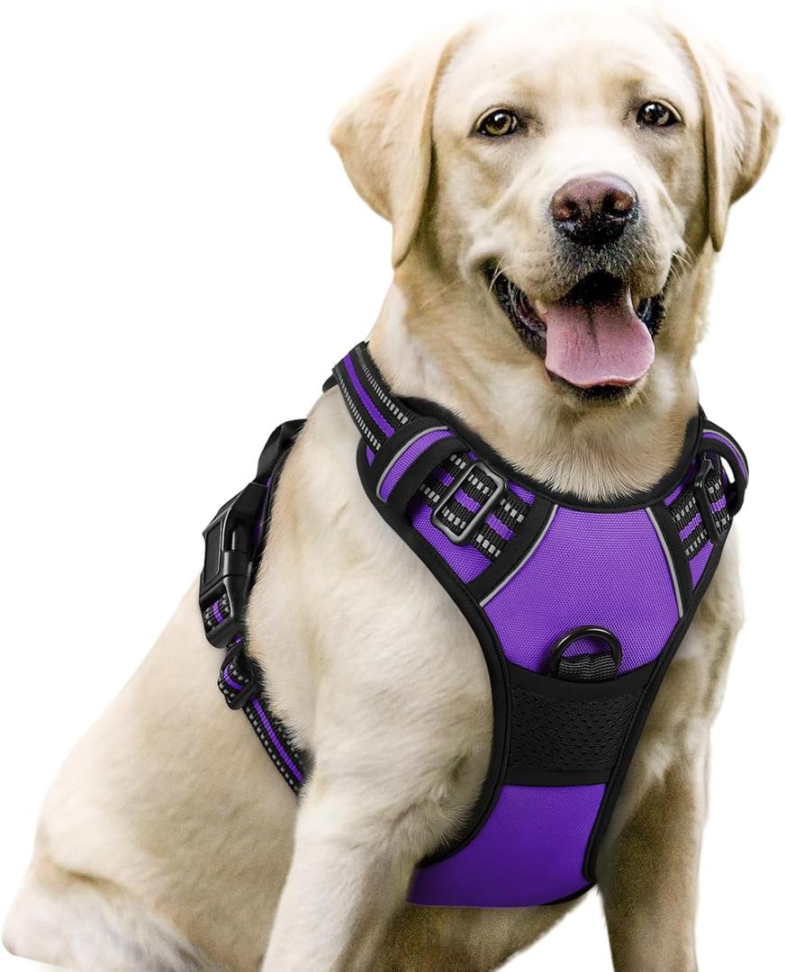 Rabbitgoo Dog Harness, No-Pull Pet Harness with 2 Leash Clips, Adjustable Soft Padded Dog Vest, Reflective No-Choke Pet Oxford Vest with Easy Control Handle for Large Dogs, Purple, L