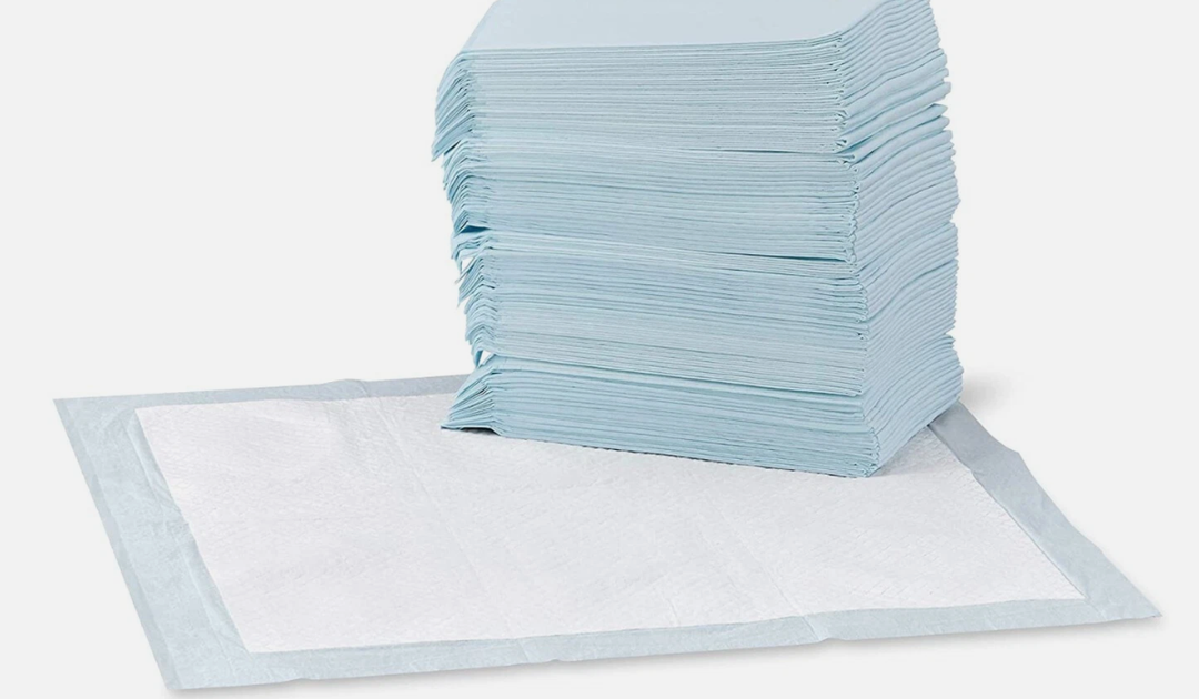 Basics LeakProof Dog and Puppy Potty Training Pee Pads with QuickDry 5Layer Design, XLarge Size 28 x 34 Inch, Blue & White, 40Pack