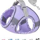 Dog Harness for Small Medium Dogs No Pull, Puppy Harness and Leash Set, Easy Walk Dog Harness for Walking, Running, Training, Small Dog Harness, Medium Dog Harness (Purple, XS),