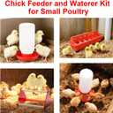Chick Feeder and Waterer Set, 7-Piece Chick Supply with Feeder, Chick Waterer and Chick Perch, Chick Starter Kit for Small Poultry Ducks Quail