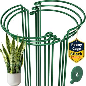 AMAGABELI GARDEN & HOME 6 Pack Peony Cage Plant Support Stakes 10" W x 24" H Heavy Duty Ring Metal Garden Support Structures Plant Cage with Ties for Indoor Flower Outdoor Tomato Hydrangea Monstera