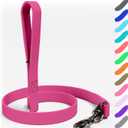Biothane Dog Leash - Extra Heavy Duty, Made in USA - Waterproof for Large, Medium, Small Dogs - 6 Ft Lead, Strong Coated Nylon Webbing With Brass Carabiner Clip (Pink)