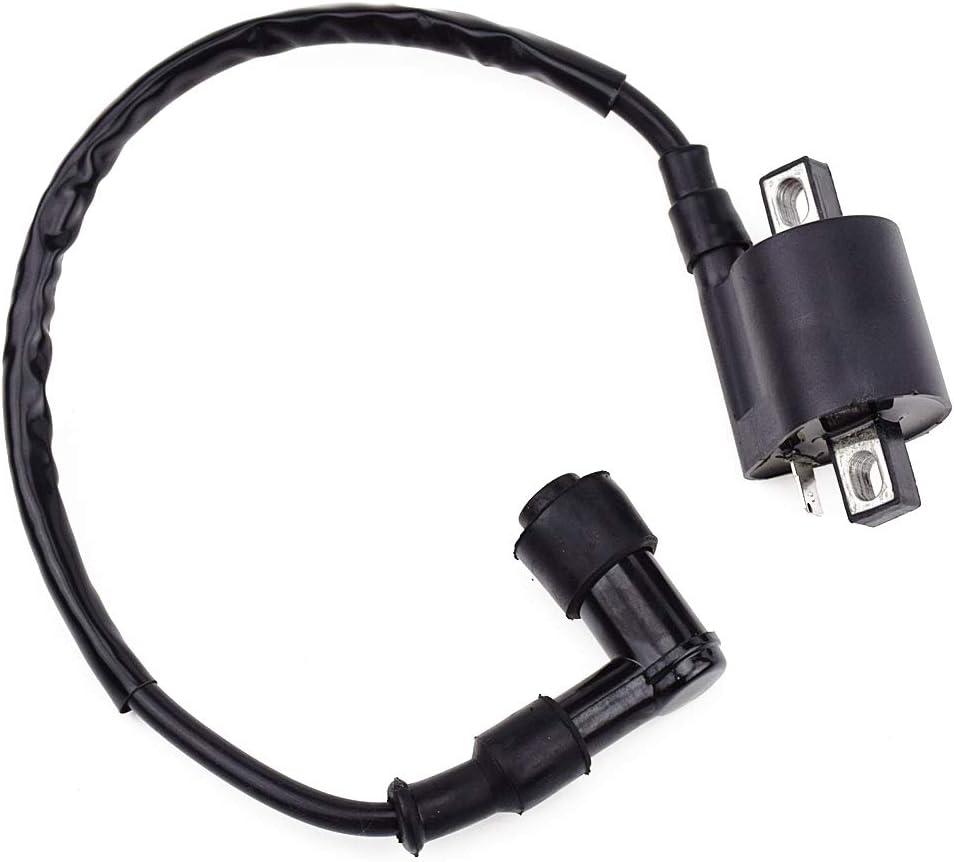 HIAORS Ignition Coil Compatible with Polaris Sportsman Scrambler 90 KX125 KX250 KX100 KDX 80 RM125 RM 125 SSR 125 Pit Dirt Bike Parts