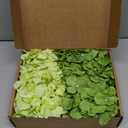 Cherica Hydrangea Artificial Flowers, 20 Pcs Green Hydrangea Artificial Flowers Bulk, Faux Hydrangea Flowers for Outdoor, Fake Silk Hydrangea Flowers with Stems for Wedding Decoration Decor