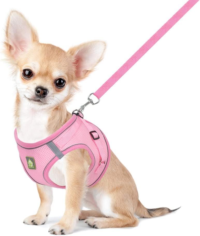 FEimaX Dog Harness and Leash Set, No Pull Breathable Soft Mesh Puppy Vest Harness Reflective Adjustable Pet Harnesses for Small Medium Dogs and Cats - Outdoor Easy Control for Walking (XS, Pink)