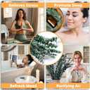 12PCS Dried Eucalyptus for Shower Hanging - 17'' Real Large Preserved Eucalyptus Stems Green Home Decor, 100% Made from Fresh Eucalyptus Leaves, Bathroom Shower Decor, Wedding, DIY