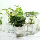 Self Watering Planter , FENGZHITAO African Violet Pots, Clear Plastic Automatic-Watering Planter Flower Pot Square Plant Pot for All House Plants, Succulents, Herb, African Violets (3 Packs Small)
