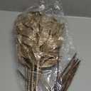 Solsew 9 Pack Champagne Christmas Tree Picks, 23.6 Inches Christmas Glitter Picks Ornaments for Tree Artificial Rosemary Leaves Stem DIY Xmas Wreaths Centerpieces Holiday and Home Decor