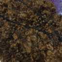 Synthetic Wig Short Ombre Brown Kinky Curly Hair Wig 10Inches 230g/Piece Afro Wigs Soft and Fluffy Like a Bomb Daily Use (Ombre Brown)