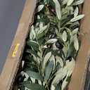 8ft Artificial Olive Tree  Large Faux Olive Plant Indoor with Pot, Lifelike Olive Trees Artificial Indoor, Tall Fake Olive Tree for Living Room Decor