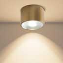 Sedelan Brass Ceiling Spot Lights Indoor, Dimmable LED Mini Cylinder Ceiling Light Fixture,7W 4500K Flush Mount Spotlight for Closet Hallway Staircase Bedroom Home Decor