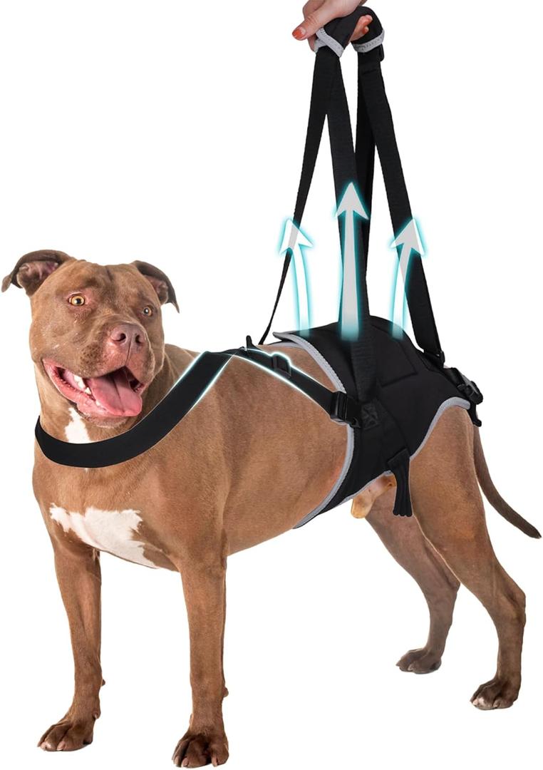 Dog Lift Harness for Large Dogs, Hind Leg Support to Help Rehabilitate, Hip & Back Leg Joint Injury Dog Lift, Reflective Rear Limbs of Elderly Dogs with Weak Hind Legs ACL Brace L 