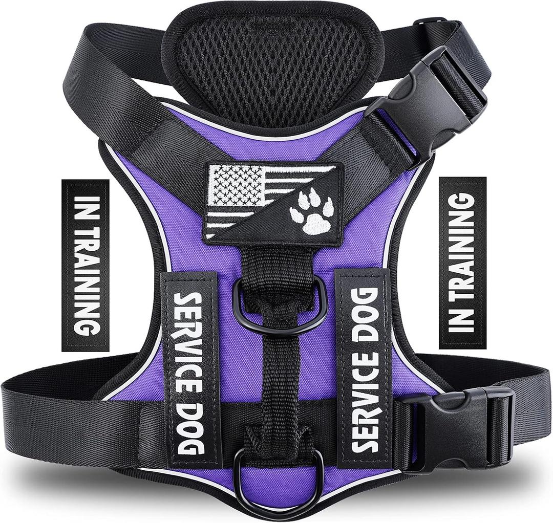 Demigreat Service Dog Harness, Reflective Dog Vest Harness with 5 PCS Patches, Adjustable Soft Oxford Pet Harness, Inner Layer Mesh, Easy to Control for Dogs (Medium (Pack of 1), Purple)