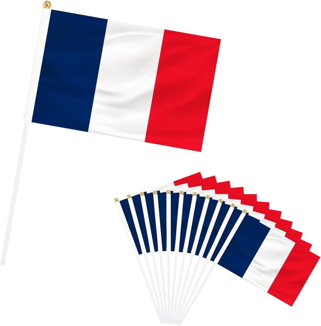50 Pack France Hand Held Mini Flags, Small French Stick Flags with Pole, International Country Flags, Festival Events, Parades, Patriotic, Indoor and Outdoor, Party Decorations (France)