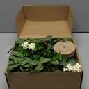 6 Pcs Green Eucalyptus Swag Wreaths for Pillars Spring Summer Kitchen Cabinet Wreaths Mini Green Berry Leaves Wreath with Ribbon for Front Door Porch Wall Window Farmhouse Decoration