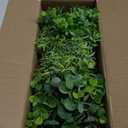 Dahey 3 Pack Mini Potted Artificial Eucalyptus Fake Plants with Wood Tray Centerpiece Table Decorations, Farmhouse Pulp Flower Pots Greenery Home Decor for Coffee Table Dining Room Office Kitchen