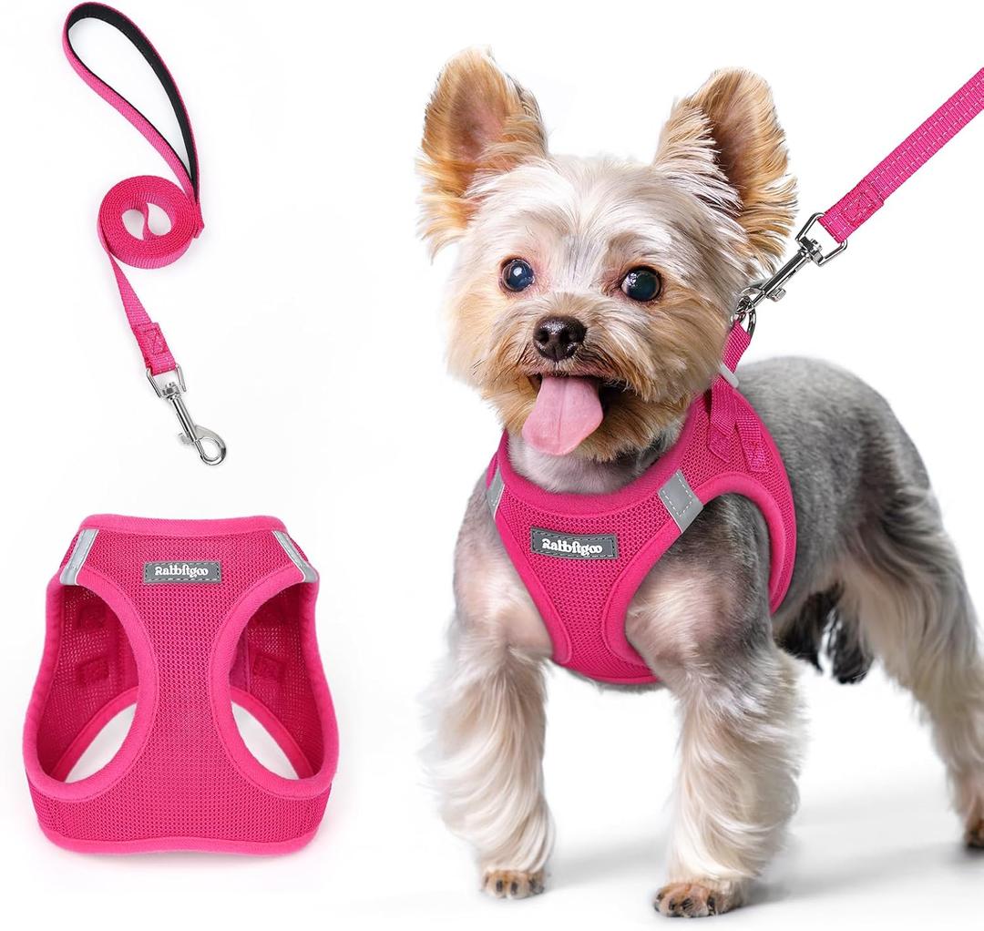 rabbitgoo Dog Harness Small Sized and Leash Set, Step in Soft Light Puppy Vest, Breathable Mesh Pet Harness, Reflective for Safe Easy Walking, Rose Red XS (XS (Chest: 13.3 - 15.5"))