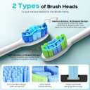 COSLUS C30 Electric Toothbrush for Adults & Kids: 3 Intensities & 5 Modes for Effective Yet Gentle Ultra-Clean Feel, 2 Types of Heads for Gentle or Daily Care, Travel & Home Use, Pink, 1PC