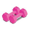 RBX Weights Dumbbells Set - Neoprene Arm Weights With Non-Slip Grip, Strength Training Equipment for Home or Gym, Anti-Roll ((E) 5 lb (Set of 2), Pink)
