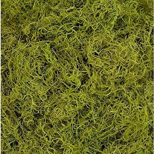 1 lb Bag Preserved & Dyed Chartreuse Spanish Moss (0905317175)