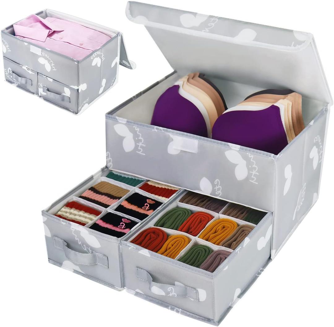 EASEVE 2 Pack Sock Underwear Drawer Organizer Divider - Closet Organizers and Storage Dresser Organizer Wardrobe Clothes Box Storage Bins with Lid for Bra, Socks, Leggings, Shirt, Panty (Grey)