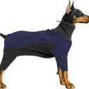 Warm Fleece Dog Jacket, Windproof Pullover Jumpsuit, Cold Weather Clothes for Medium Large Dog (2XL, Blue)