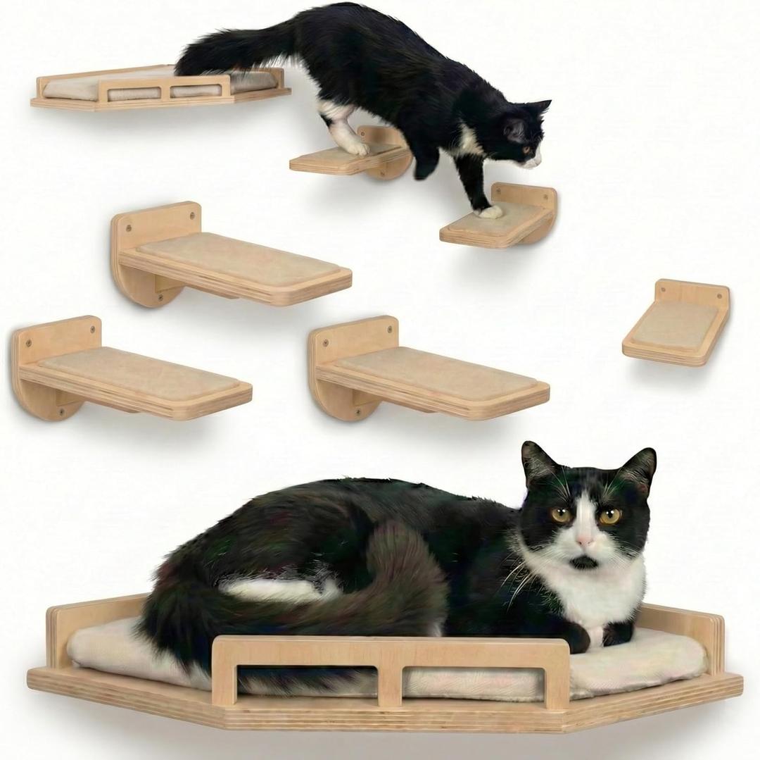 INICIO Cat Wall Shelves  Modern and Durable 3 Step Cat Furniture for Wall  Stylish Birch Floating Shelf for Cats up to 15lbs  Wooden Corner Shelves with Cushioned Perch  Natural Wood