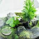 Yardwe Ceramic Floating Fish Statue Fish Tank Decor Aquarium Figurines Garden Pond Decoration Light Green 2.16 Inch Floating Aquarium Decor