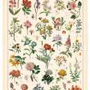Vintage Wildflowers Poster Botanical Wall Art Prints Colorful Rustic Style of Floral Wall Hanging Illustrative Reference Flower Chart Poster for Living Room Office Bedroom Decor Frame 15.7 x 23.6 Inch