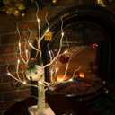 Lighted Birch Tree, White Birch Tree Lights Timer Warm White Artificial Branch Tree for Home Easter Christmas Wedding Table Decor Gifts