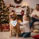 2 Pack Promoted to Big Brother Dog Bandana Baby Announcement Dogs Bandanas White Pregnancy Announcement Big Brother Bandana for Dog Pet Scarf Accessories for Pet Dog Lovers Gifts