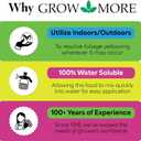 Grow More 0.2-0-0 EDDHA Iron Chelate for Greener Plants on Soils with pH of 7 or Above - 1lb of Water Soluble Chelated 6% Iron for Plants