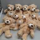 MaoGoLan Bulk Teddy Bear Baby Shower, 10 Packs Small Teddy Bear Stuffed Animals in Bulk,13.5" Small Stuffed Bears Plush for Wedding, Birthday, Christmas, Party Decorations