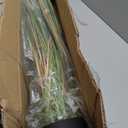 Jexine 2 Pcs 4 ft Tall Artificial Grass Plant Potted Artificial Greenery Floor Plants Faux Pampas Grass Tall in Pot for Housewarming Gift House Garden Bathroom Lobby Outdoor Decoration
