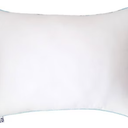 Sealy Huggable Support Squishable pillow Queen 18x26x in