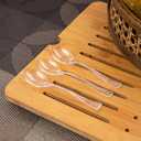 WDF 300 Pieces Clear Plastic Mini Spoons for Desserts 4 Inches Clear Plastic Spoons Heavy Duty Perfect for Cake, Desserts