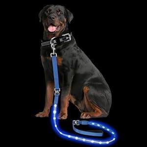 PetIsay Light up Dog Leash for Night Walking - USB C Rechargeable - Waterproof - Dog Leashes with Flashlight - LED Leash for Dogs - 6Ft, Blue