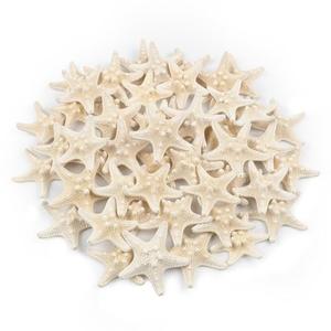 TaoQ C 48 PCS Starfish, Mini Starfish 1" to 2" Small Knobby Starfish Natural Seashells Starfish Perfect for Wedding Decor Beach Theme Party, Home Decorations, DIY Crafts, Fish Tank