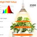 Bstrip Hanging Grow Light for Indoor Plant, 25W Full Spectrum Hanging Plant Light, 3000K LED Grow Light Bulbs with 16.4FT Power Cord, 1 Pack